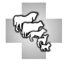 Standerton Dierehospitaal